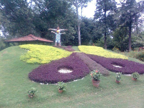 Butterfly Park